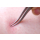 Faude Zeckenpinzette, Zeckenzange rund gebogen mit feiner Spitze um wirklich sicher Zecken entfernen ohne zu zerquetschen, Gesamtl&auml;nge 12,5 cm